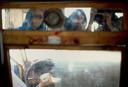 All of us in the back of a dusty taxi.